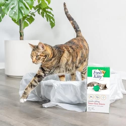 Fresh Kitty 10 Count Sifting Litter Box Liners | Easy Clean, Jumbo Size, Plastic Bags for Cats thumbnail 4