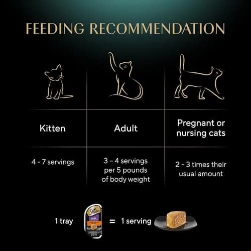 Sheba Perfect Portions Pate Wet Cat Food, Savory Chicken, 2.6 oz. | Grain-Free, Protein-Rich, Made in USA thumbnail 6