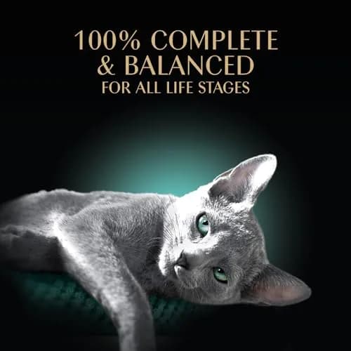 Sheba Perfect Portions Pate Wet Cat Food, Savory Chicken, 2.6 oz. | Grain-Free, Protein-Rich, Made in USA thumbnail 4
