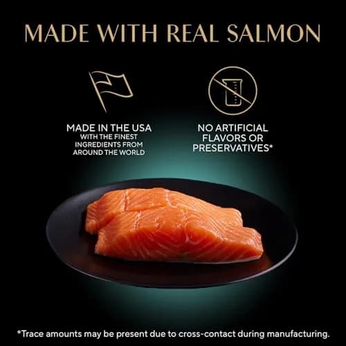 Sheba Perfect Portions Pate Wet Cat Food, Salmon | Complete & Balanced for Adult Cats thumbnail 5