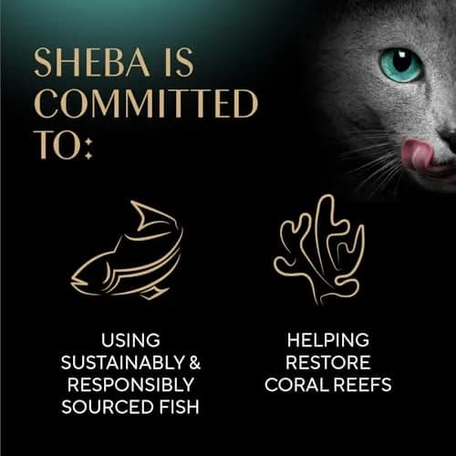 Sheba Perfect Portions Pate Wet Cat Food, Salmon | Complete & Balanced for Adult Cats thumbnail 7