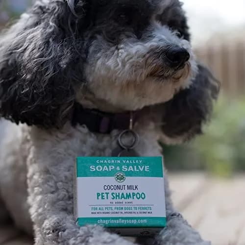 Chagrin Valley Soap & Salve Organic Dog Shampoo & Conditioner 3.8 oz | Itchy Skin Relief & Puppy Care thumbnail 8
