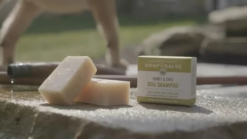Chagrin Valley Soap & Salve Organic Dog Shampoo & Conditioner 3.8 oz | Itchy Skin Relief & Puppy Care thumbnail 12
