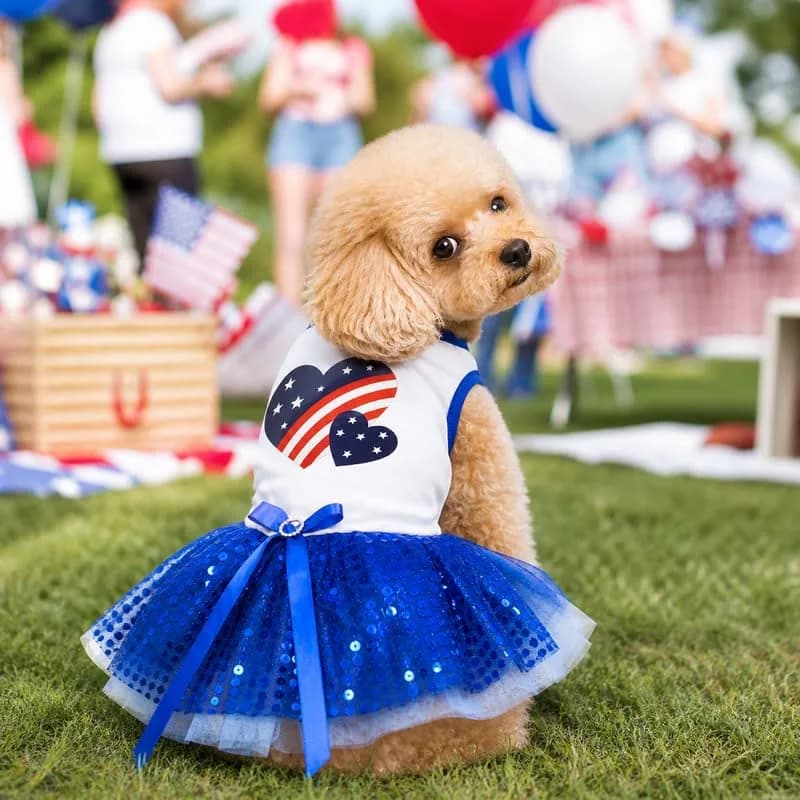 Petitebella USA Twins Heart Puppy Dog Dress (White/Blue Sequins) | Patriotic Pet Apparel for Small Dogs thumbnail 5
