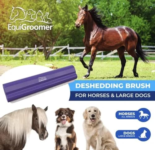 EquiGroomer 8-Inch Deshedding Brush for Dogs & Horses | Heavy Coat Shedding Tool, Purple thumbnail 3