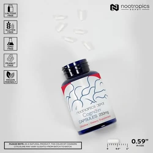 Nootropics Depot Cognizin Citicoline Capsules | 180 Count | Brain Health Supplement | Supports Focus & Memory thumbnail 3