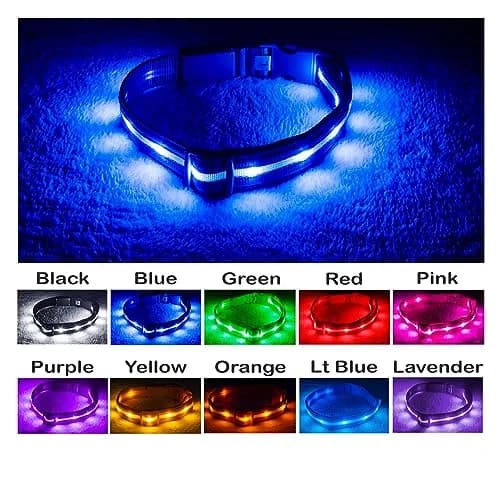Blazin LED Dog Collar 1,000 Feet Visibility Waterproof USB Rechargeable | Bright & Safe Night Light for Small, Medium, Large Dogs thumbnail 9
