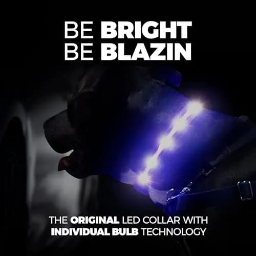 Blazin LED Dog Collar 1,000 Feet Visibility Waterproof USB Rechargeable | Bright & Safe Night Light for Small, Medium, Large Dogs thumbnail 2