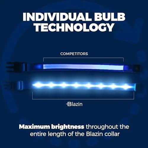 Blazin LED Dog Collar 1,000 Feet Visibility Waterproof USB Rechargeable | Bright & Safe Night Light for Small, Medium, Large Dogs thumbnail 3