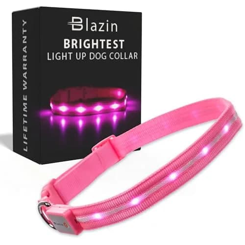 Blazin LED Dog Collar 1" Waterproof USB Rechargeable Safety Light for Small, Medium, Large Dogs thumbnail 1
