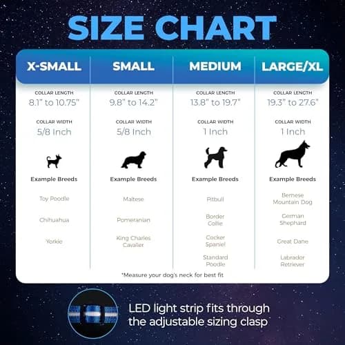 Blazin LED Dog Collar 1" Waterproof USB Rechargeable Safety Light for Small, Medium, Large Dogs thumbnail 5