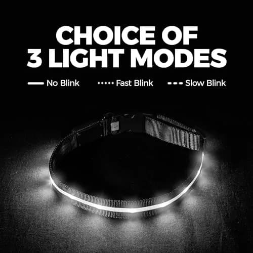 Blazin LED Dog Collar 1" Waterproof USB Rechargeable Safety Light for Small, Medium, Large Dogs thumbnail 7