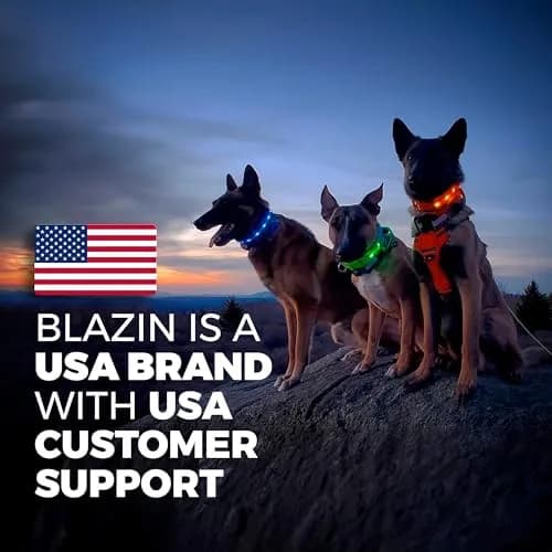 Blazin LED Dog Collar 1" Waterproof USB Rechargeable Safety Light for Small, Medium, Large Dogs thumbnail 8