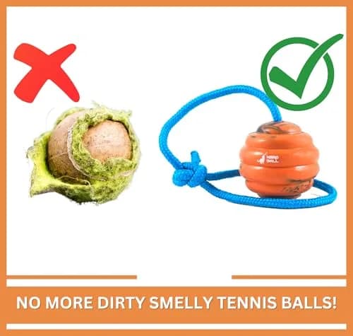 The Nero Ball Pro K-9 Dog Training Ball on Rope – 2.75″ Heavy-Duty Natural Rubber Reward & Tug Toy with Nylon Handle thumbnail 6