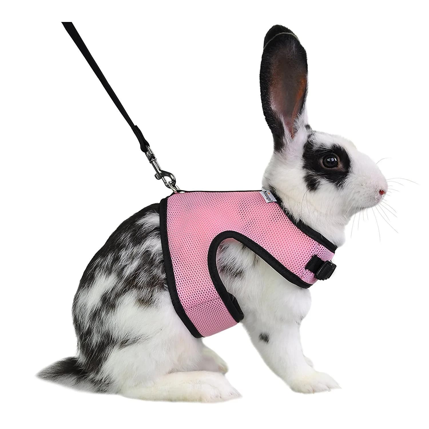 Niteangel Adjustable Soft Harness with Elastic Leash for Rabbits (L, Pink) | Escape-Proof Mesh Vest for Small Pets - main product image