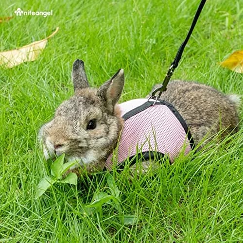 Niteangel Adjustable Soft Harness with Elastic Leash for Rabbits (L, Pink) | Escape-Proof Mesh Vest for Small Pets thumbnail 5