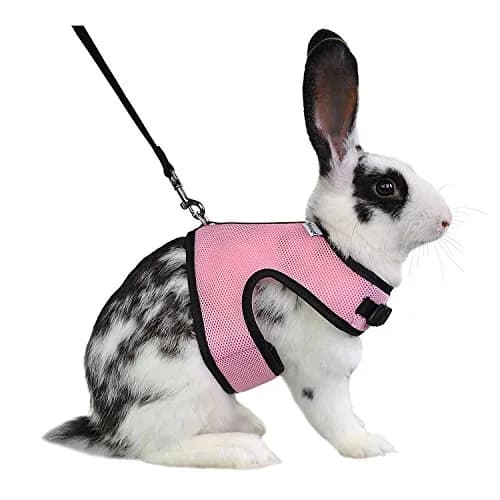 Niteangel Adjustable Soft Harness with Elastic Leash for Rabbits (L, Pink) | Escape-Proof Mesh Vest for Small Pets thumbnail 1