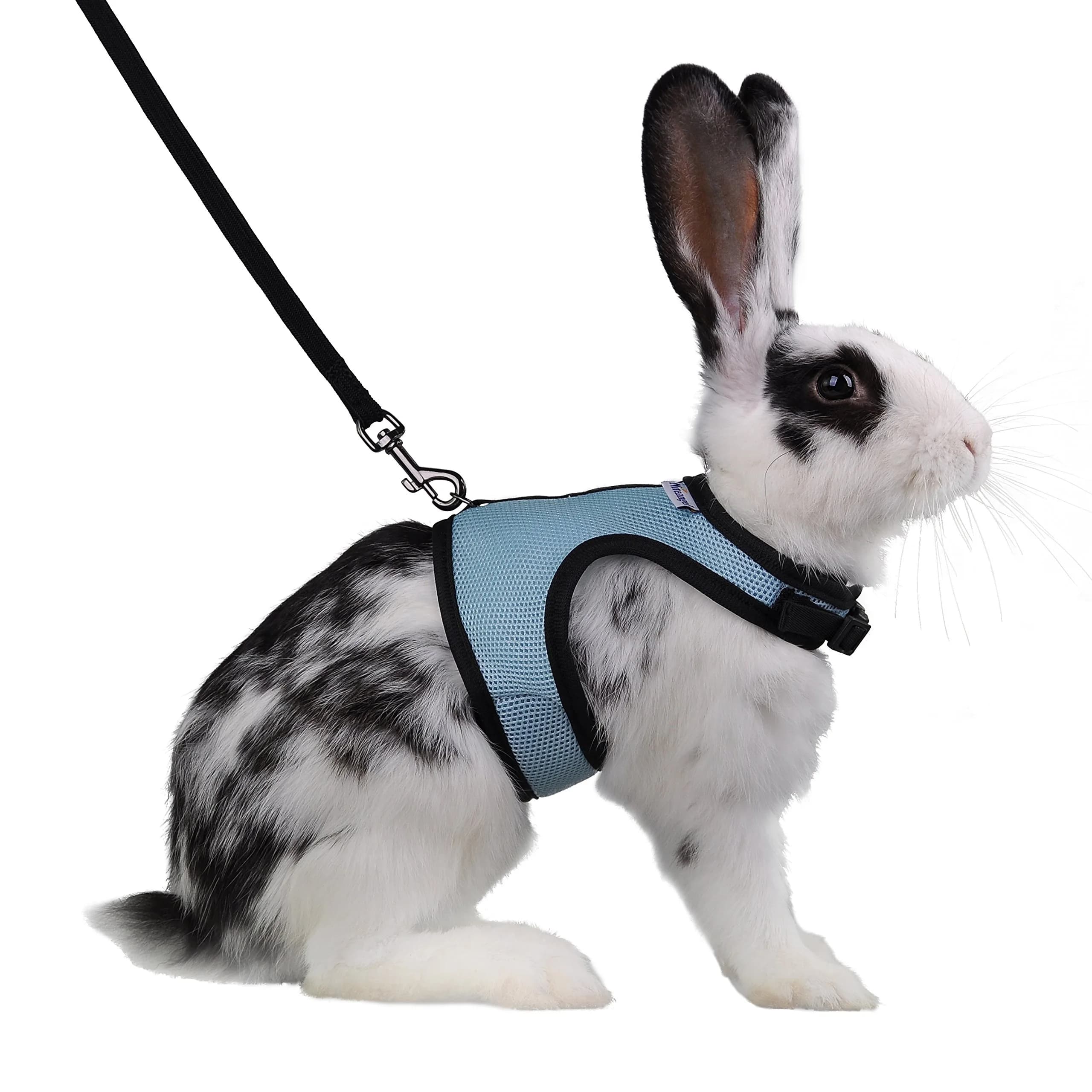Niteangel Adjustable Soft Harness with Elastic Leash for Rabbits (L, Blue) | Escape-Proof Mesh Vest for Small Pets