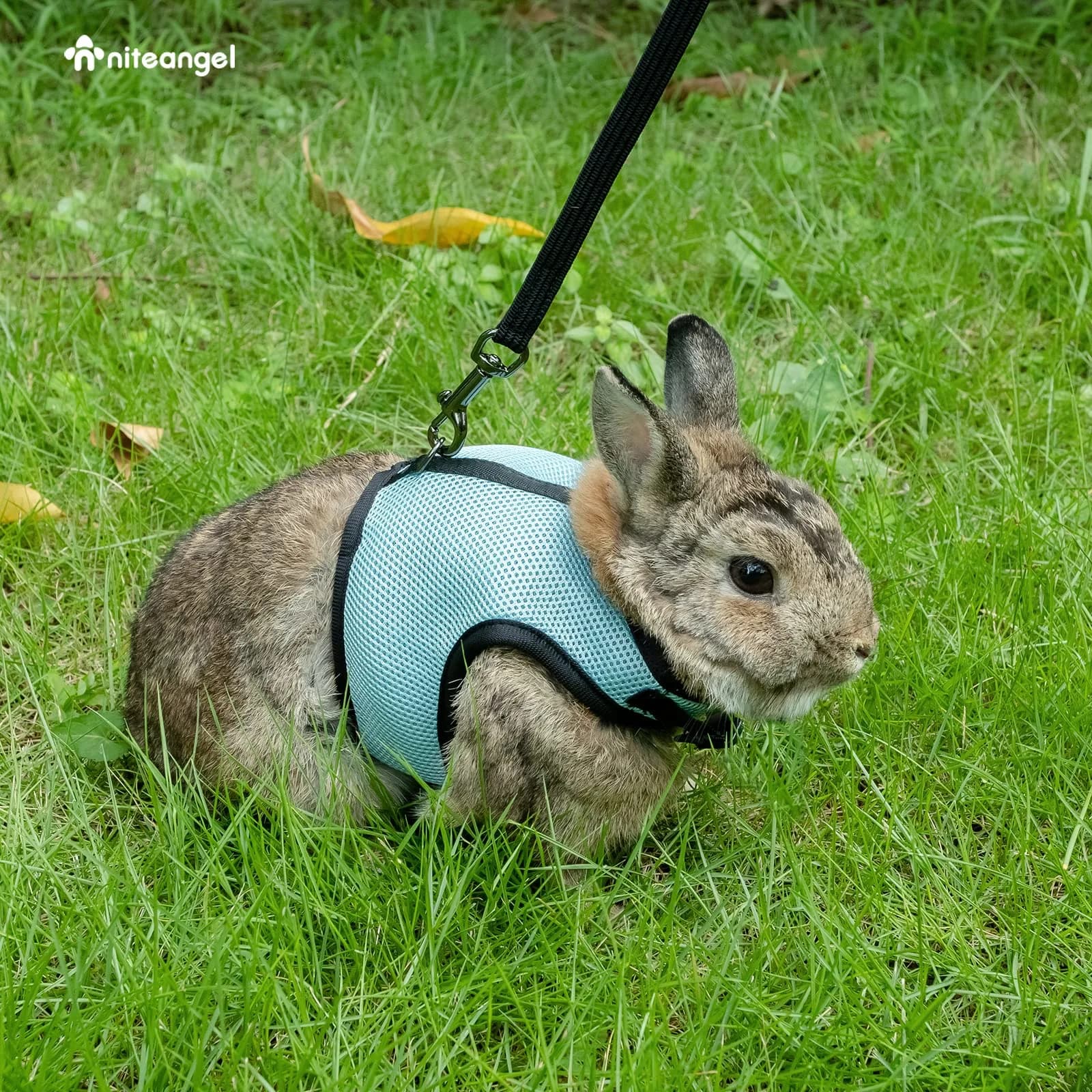 Niteangel Adjustable Soft Harness with Elastic Leash for Rabbits (L, Blue) | Escape-Proof Mesh Vest for Small Pets - view 5