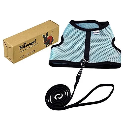 Niteangel Adjustable Soft Harness with Elastic Leash for Rabbits (L, Blue) | Escape-Proof Mesh Vest for Small Pets thumbnail 6