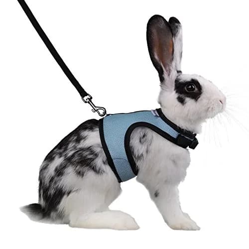 Niteangel Adjustable Soft Harness with Elastic Leash for Rabbits (L, Blue) | Escape-Proof Mesh Vest for Small Pets thumbnail 1