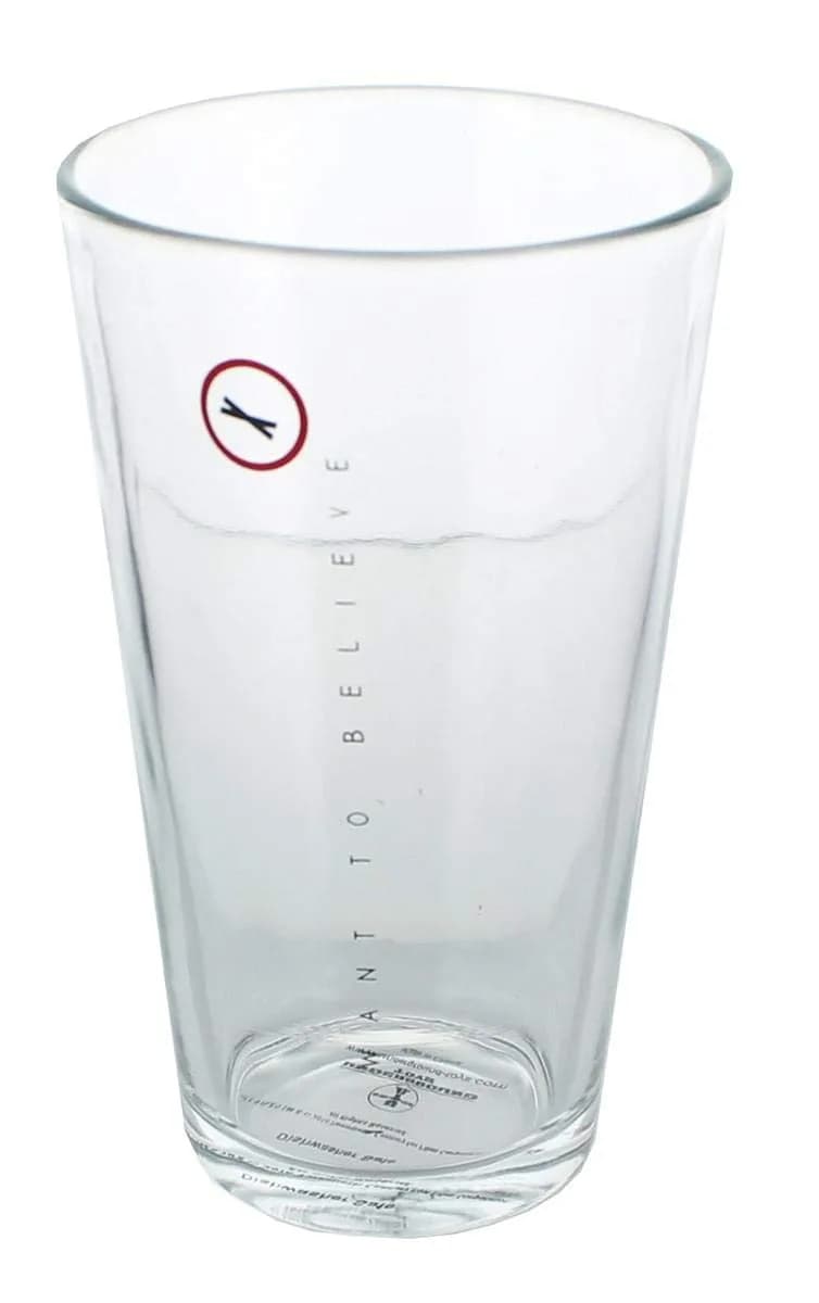Underground Toys The X Files I Want to Believe Pint Glass Set | Officially Licensed 16oz Glasses for Fans
