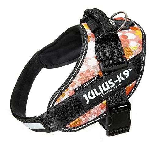 Julius-K9 IDC Powerharness Dog Harness Size 2 (35 cm Chest, 1.4 kg) | Reflective, Breathable, European-Made thumbnail 1