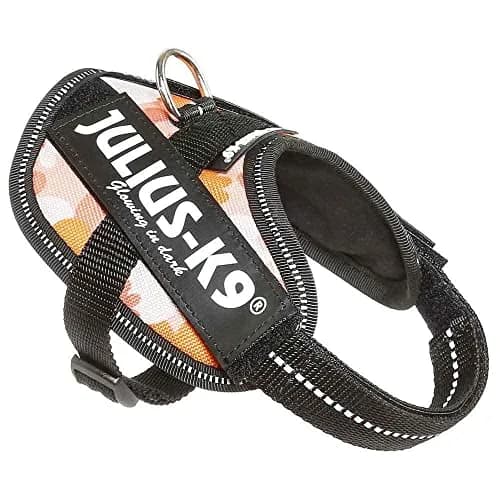 Julius-K9 IDC Powerharness Dog Harness Size 2 (35 cm Chest, 1.4 kg) | Reflective, Breathable, European-Made thumbnail 2