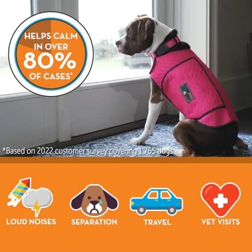 Thundershirt for Dogs Calming Anxiety Vest XX-Small Fuchsia Sport | Patented Pressure Wrap for Stress Relief thumbnail 3