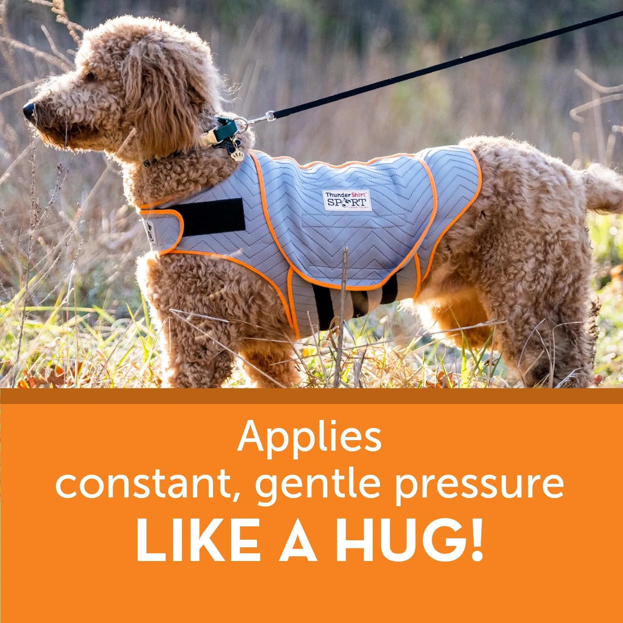 Thundershirt Dog Anxiety Vest XX-Small Platinum Sport | Calms Separation Anxiety & Fear thumbnail 5