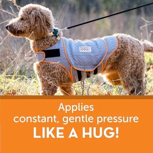 Thundershirt Dog Anxiety Vest XX-Small Platinum Sport | Calms Separation Anxiety & Fear thumbnail 5