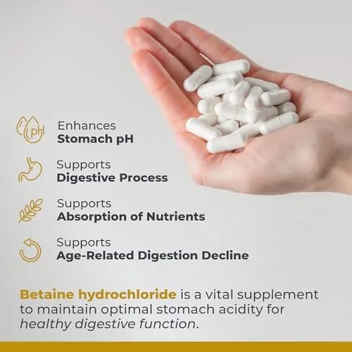Premier Research Labs Premier HCL - 90 Vegetarian Capsules (2 Pack) | Supports Digestive Wellness & Nutrient Absorption thumbnail 4
