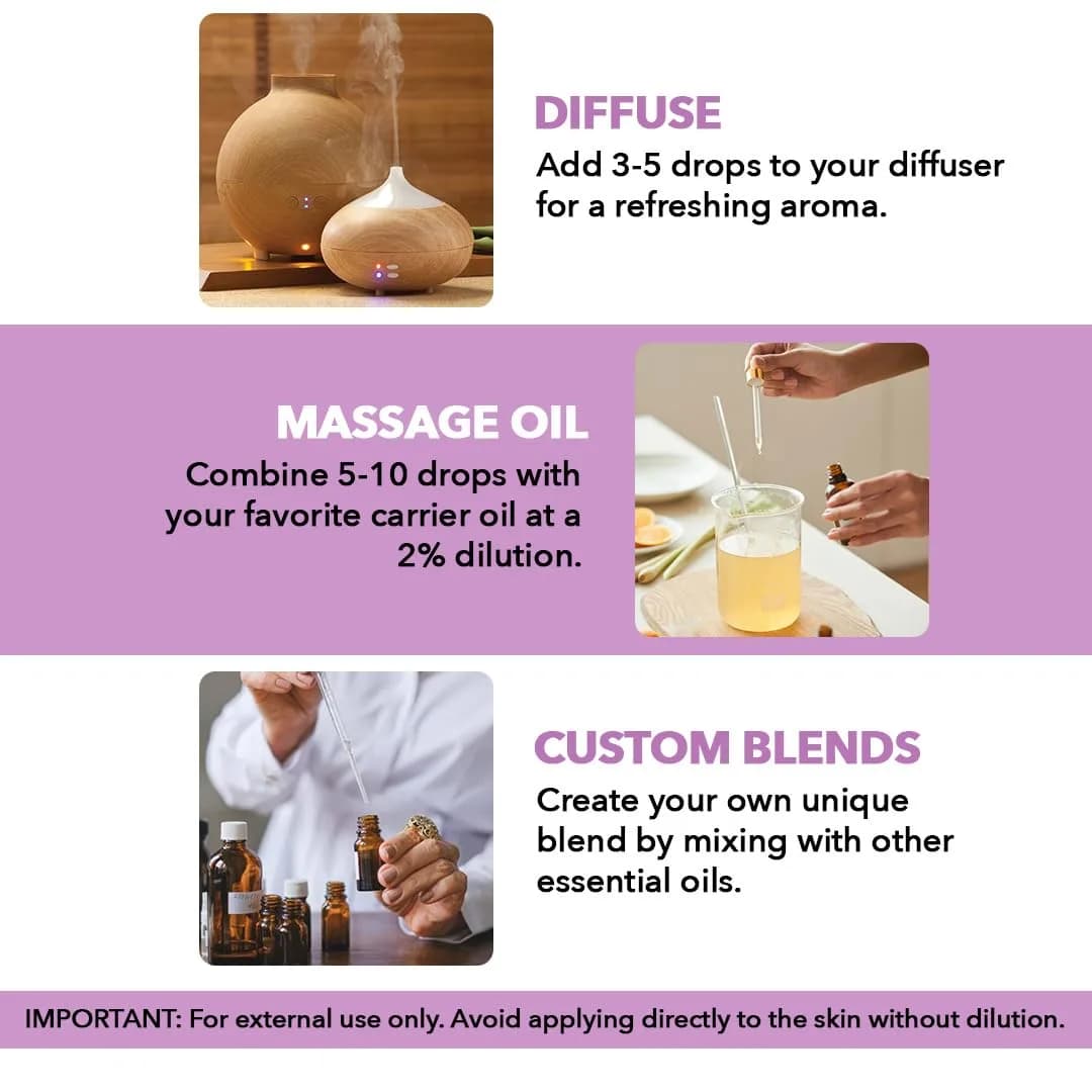 Majestic Pure Lavender Essential Oil 30ml (1 Fl Oz) | Pure & Natural Aromatherapy Oil - view 4