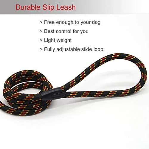 Coolrunner Dog Slip Rope Leash 5 FT | Adjustable Nylon Training Lead for 10-80 lb Dogs thumbnail 7