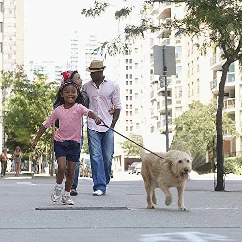 Coolrunner Dog Slip Rope Leash 5 FT | Adjustable Nylon Training Lead for 10-80 lb Dogs thumbnail 8
