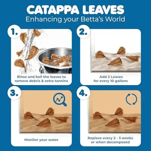 SunGrow 50 pcs Indian Almond Leaves (2" each) | Natural Betta Fish Tank Water Conditioner for Breeding, Shrimp, Goldfish & Frogs thumbnail 5