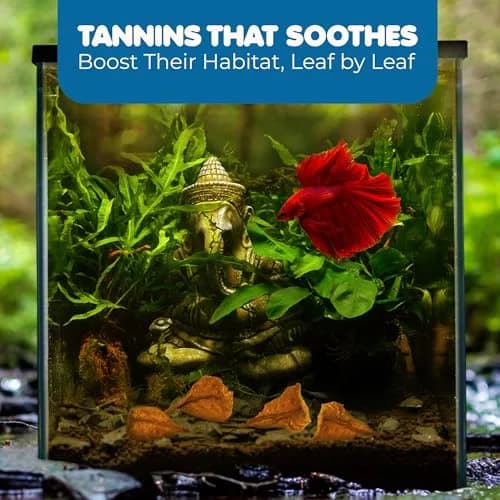 SunGrow 50 pcs Indian Almond Leaves (2" each) | Natural Betta Fish Tank Water Conditioner for Breeding, Shrimp, Goldfish & Frogs thumbnail 3