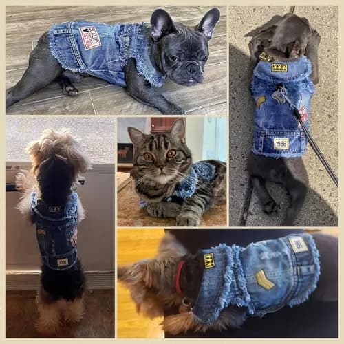 DOGGYZSTYLE Cool Dog Jean Jacket Small XL | Stylish Denim Coat for Small Dogs & Cats thumbnail 6