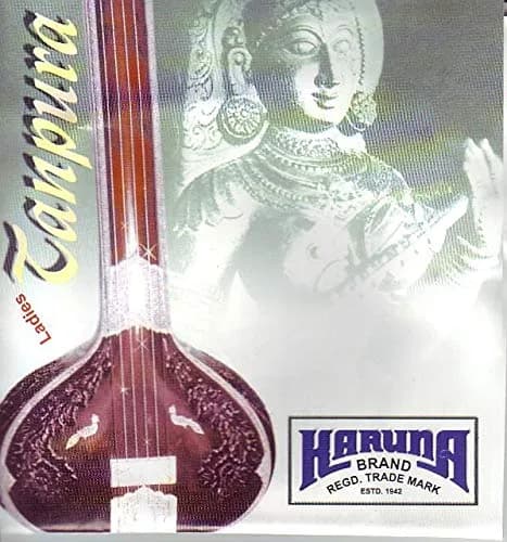 Karuna Female Tanpura Strings Set of 4 | Steel Construction for Bright Tone thumbnail 1