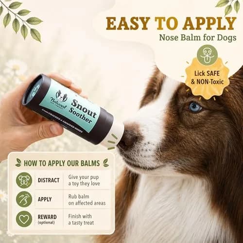 Natural Dog Company Snout Soother Dog Nose Balm – 2 oz Stick | Nourishing, Vegan & Non-Toxic Nose Care thumbnail 8