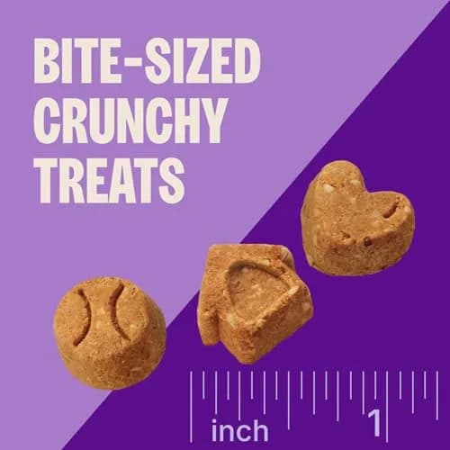 Wellness Crunchy Puppy Bites Dog Training Treats, Grain Free Chicken & Carrot Recipe, 170g (6 oz) | DHA for Brain Development thumbnail 5