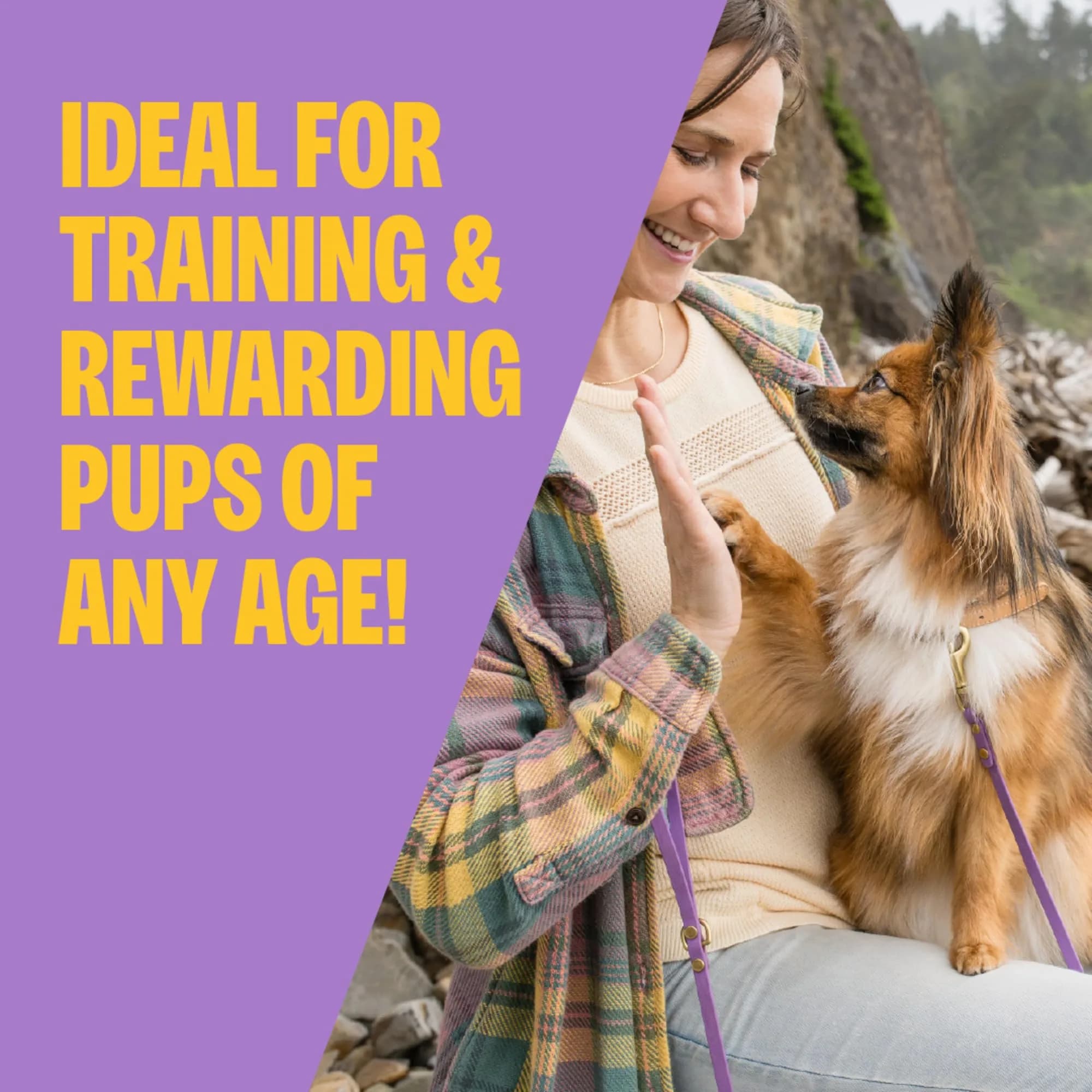 Wellness Soft Puppy Bites Dog Training Treats - Lamb & Salmon, 6 Ounce (Pack of 1) - view 2