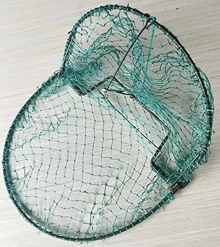 Alemon 12-inch Humane Bird Trap | Protects Crops, Catches Pigeons & Quail thumbnail 4