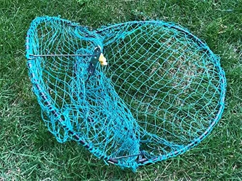 Alemon 12-inch Humane Bird Trap | Protects Crops, Catches Pigeons & Quail thumbnail 5