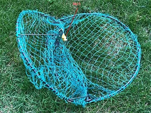 Alemon 12-inch Humane Bird Trap | Protects Crops, Catches Pigeons & Quail thumbnail 3