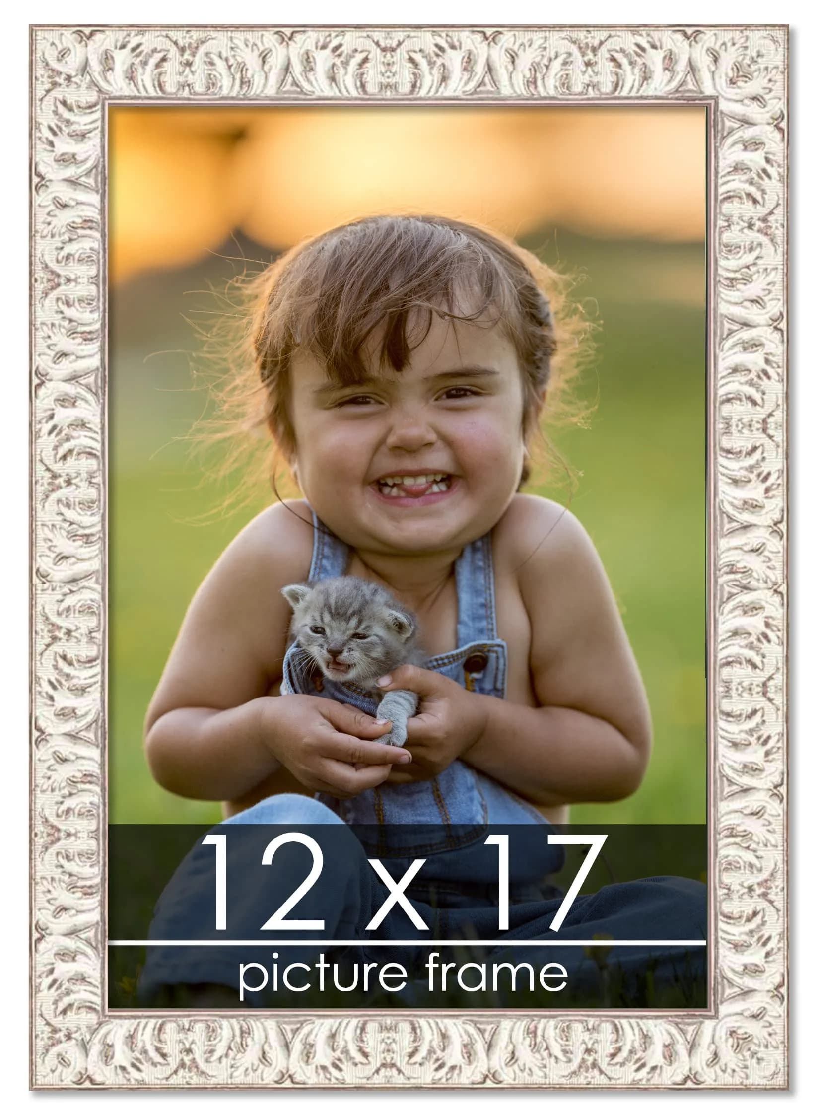 Poster Palooza 12x17 Frame Gold Ornate Whitewashed Wood | UV Acrylic, Foam Back, Hardware Included