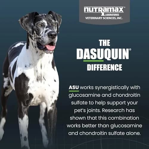 Nutramax Dasuquin MSM Joint Supplement for Large Dogs, Chewable Tablets, 84 Count | Vet Recommended USA Import thumbnail 6