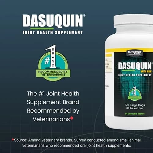 Nutramax Dasuquin MSM Joint Supplement for Large Dogs, Chewable Tablets, 84 Count | Vet Recommended USA Import thumbnail 3