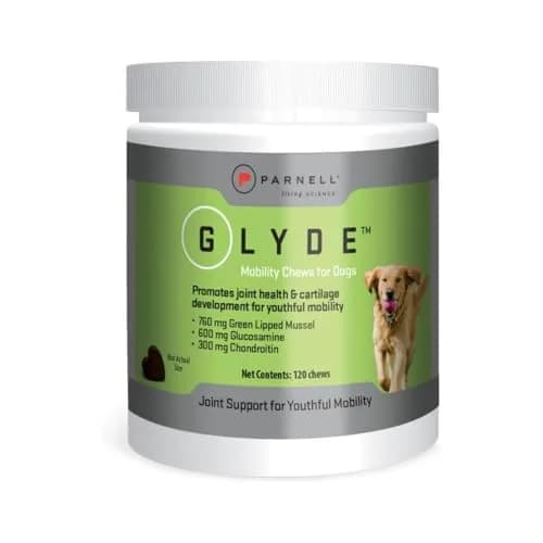GLYDE Glyde Mobility Chews for Dogs - 120 Soft Chews | Support Joints & Mobility thumbnail 1