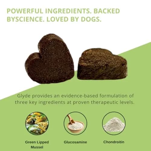 GLYDE Glyde Mobility Chews for Dogs - 120 Soft Chews | Support Joints & Mobility thumbnail 5